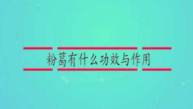 粉葛有什么功效与作用