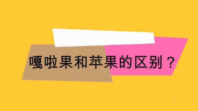 嘎啦果和苹果的区别?