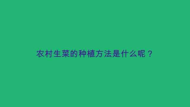 农村生菜的种植方法是什么呢?