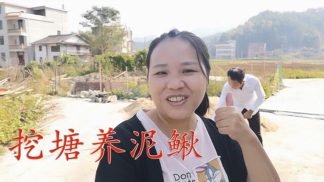 90后打工小伙养泥鳅创业,没花几块钱就搞好池子,能养成功吗