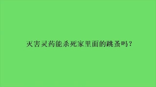 灭害灵药能杀死家里面的跳蚤吗?