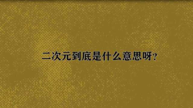 二次元到底是什么意思呀?