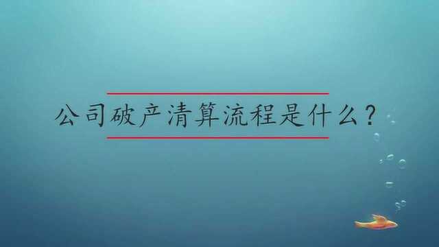 公司破产清算流程是什么?