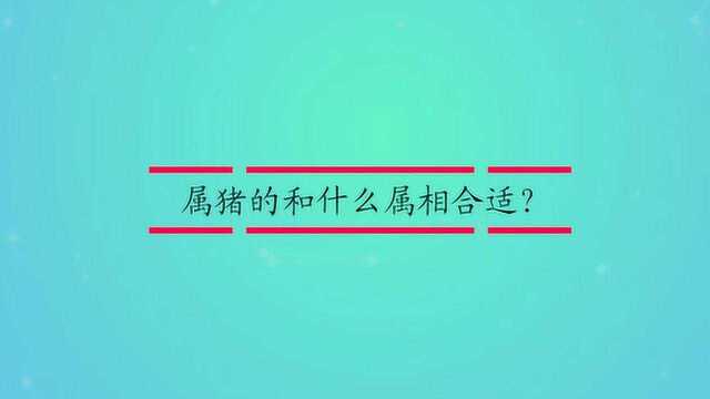 属猪的和什么属相合适?