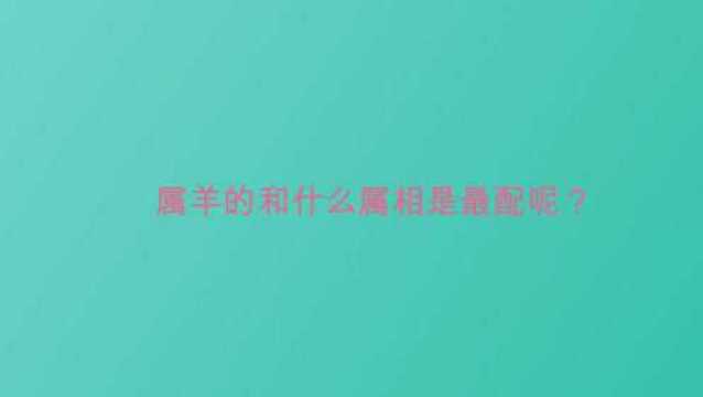 属羊的和什么属相是最配呢?