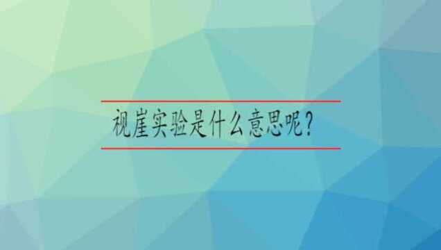 视崖实验是什么意思呢?