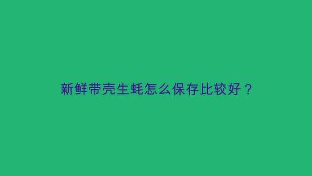 新鲜带壳生蚝怎么保存比较好?