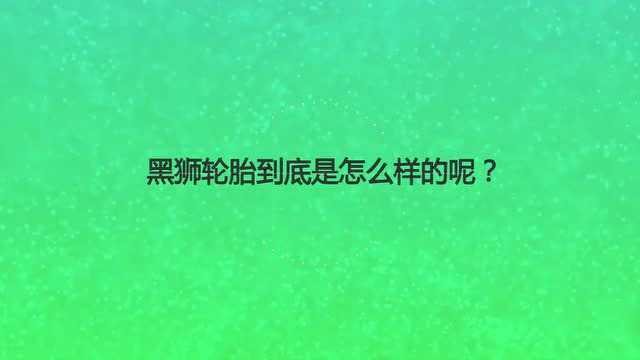 黑狮轮胎到底是怎么样的呢?