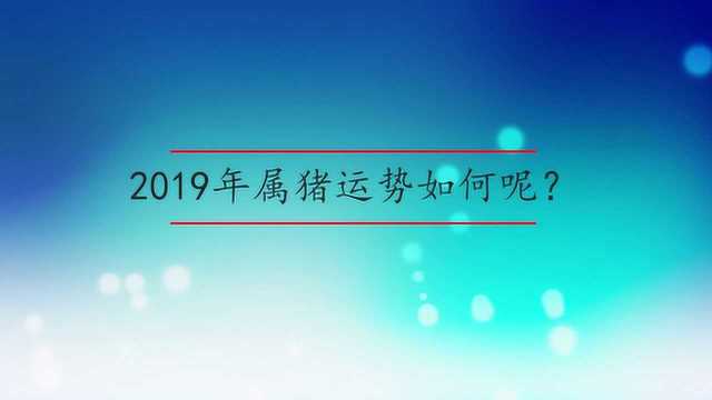 2019年属猪运势如何呢?