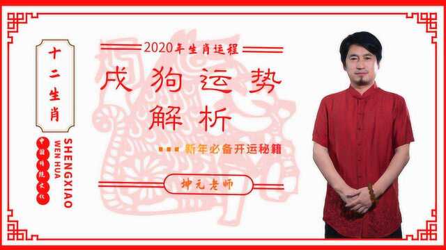 2020年生肖运程,狗生肖在2020年的运势如何?