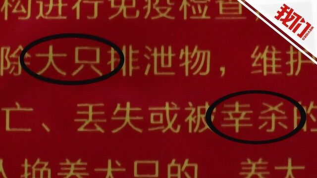 陕西安康一政府通告里现20处错误 官方:社区自己印的未核对