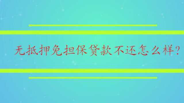 无抵押免担保贷款不还怎么样?