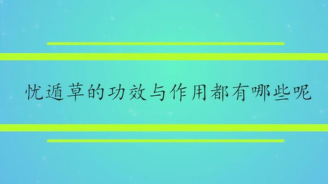 忧遁草的功效与作用都有哪些呢