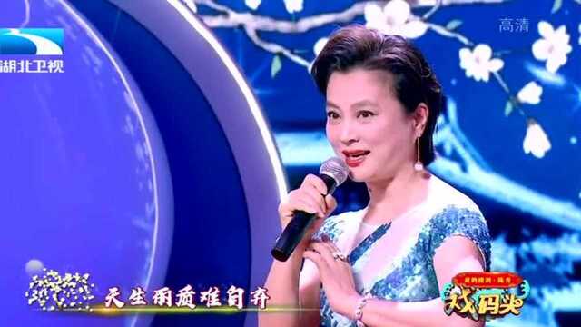 戏码头:甜歌皇后李玲玉演唱京歌《梨花颂》,惊艳全场