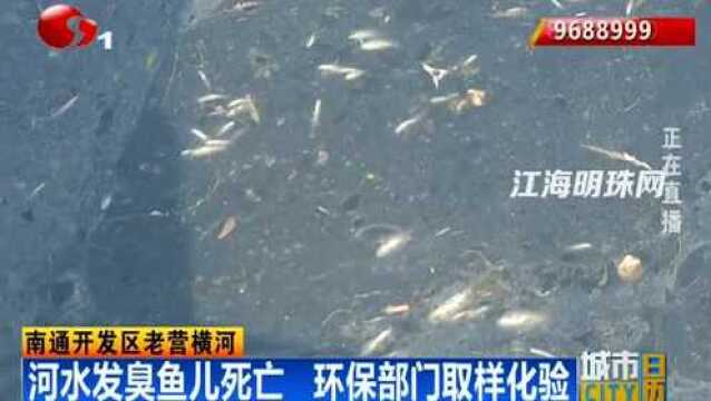 南通开发区老营横河:河水发臭鱼儿死亡 环保部门取样化验