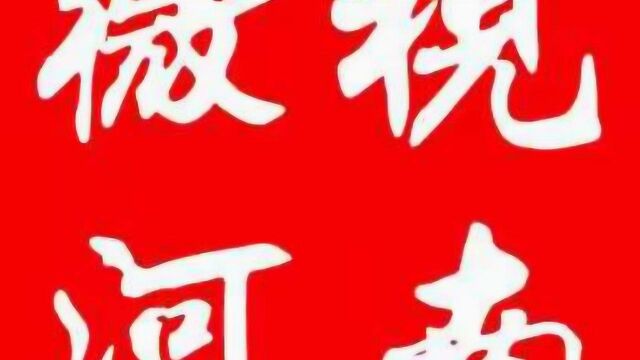 微视河南:我爱爸妈演说大赛评委导师——丁咚访谈