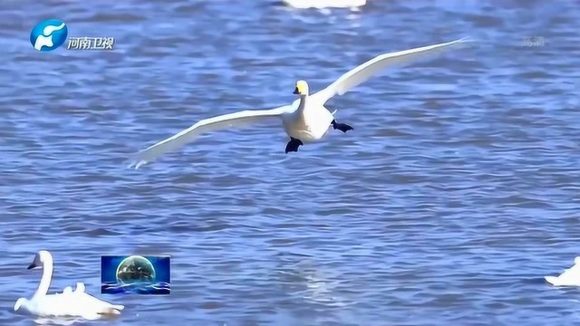 《走进黄河》系列报道之三