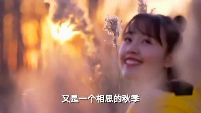 崔建国一首《风里雨里我等着你》歌声醉人又醉心,循环了