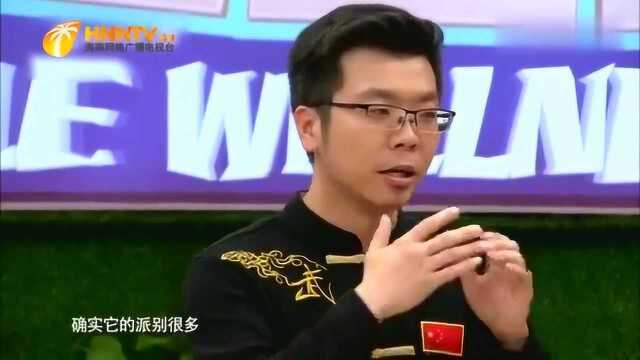 太极拳派别众多,初学者应该如何入门?听听专家怎么说