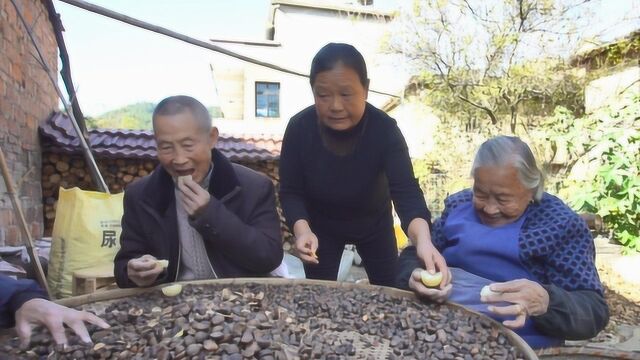 农村92岁奶奶来帮忙捡茶籽壳,怕口渴,看邻家儿媳妇让老人吃的啥