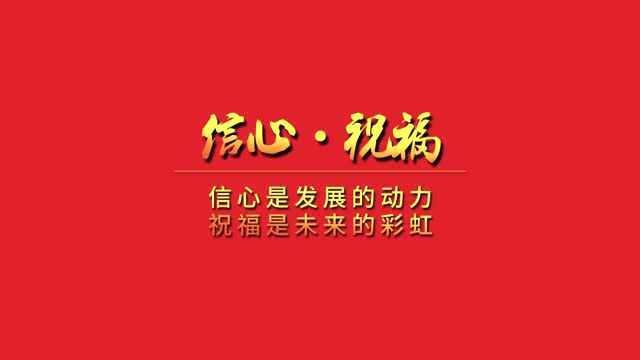 晨鸣集团2020年度经销商签约大会经销商代表专访