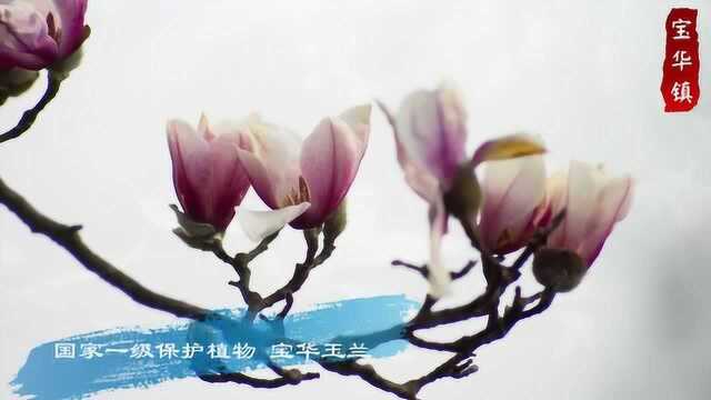 宝华镇(定版) 12月16日