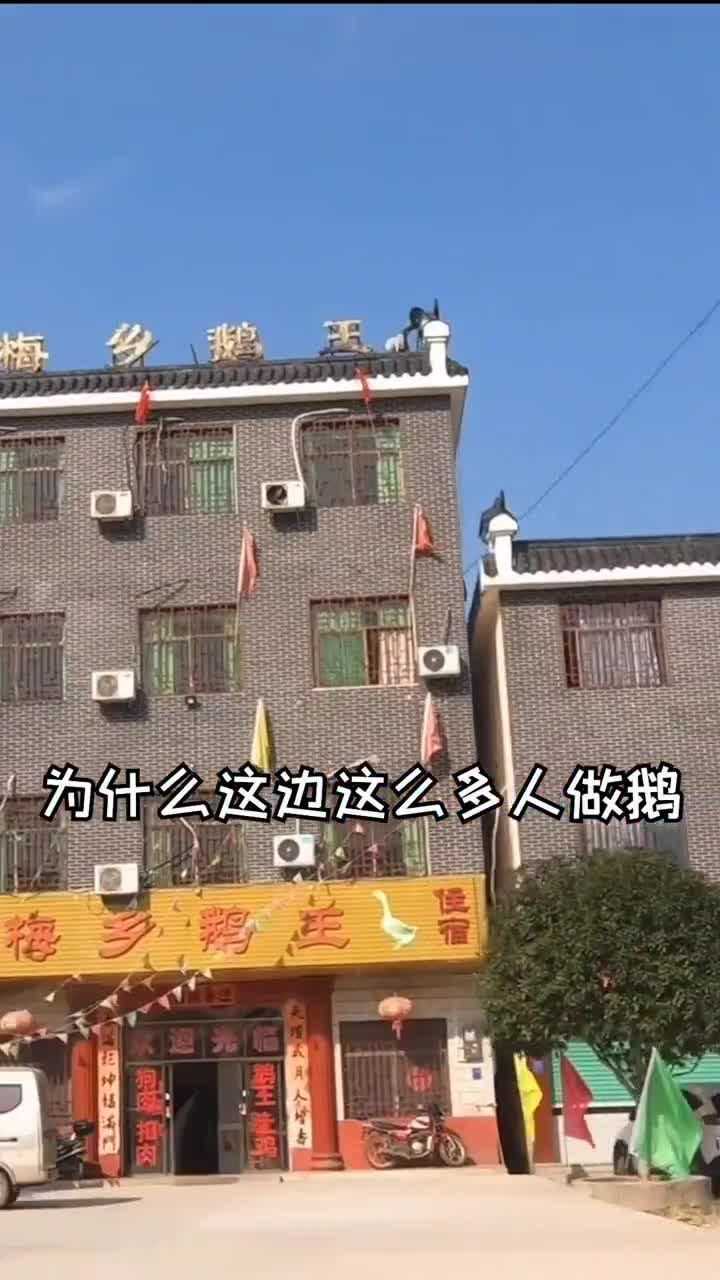 在梅岭一条街就有几十家鹅王我们竟然吃出了顺德味快手美