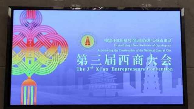 在第三届西商大会上,孙茵发表演讲谈乡村振兴