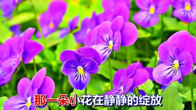 一首情歌《红尘陌上花》