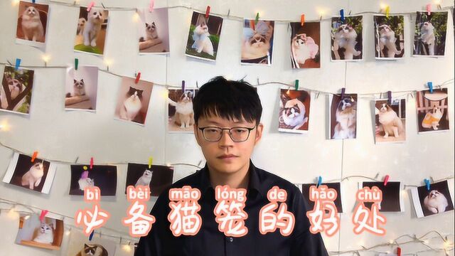 猫咪散养就不用猫笼了吗?猫舍主浪浪告诉你家中必备猫笼的好处