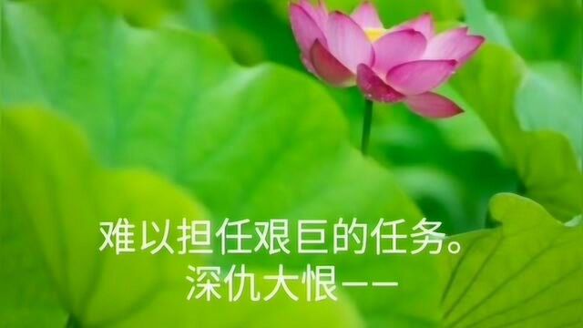 成语大串连3⠠⠠⠠言必有据——好高骛远