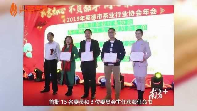 兴茶快讯:2019年英德市茶产业综合产值达48亿元