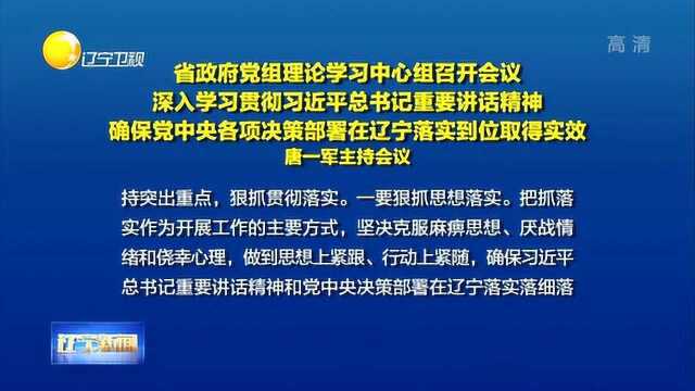 辽宁省政府党组理论学习中心组召开会议