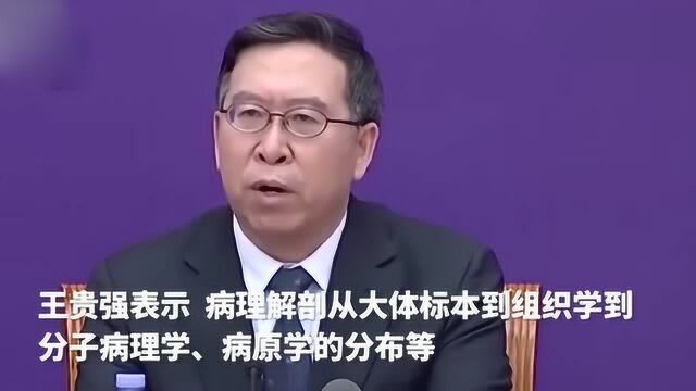 专家:11例病理解剖结果数据很快发布 对临床有指导价值