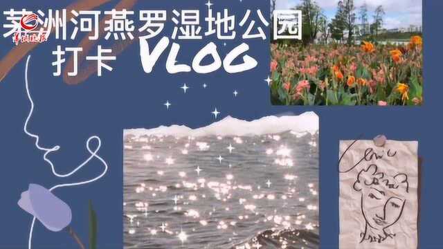 Vlog打卡深圳茅洲河:“墨水”变清水,网红景点这样打造