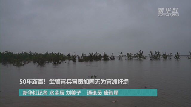 50年新高!武警官兵冒雨加固无为官洲圩堤