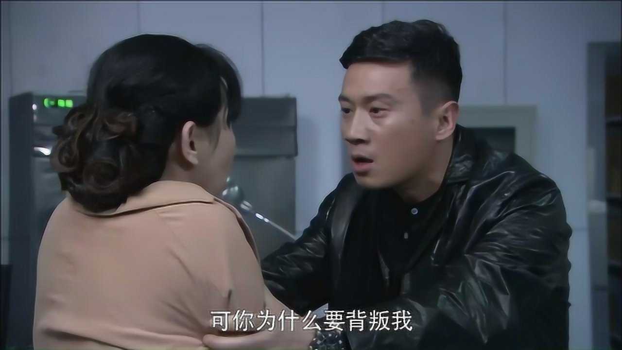 火凤凰黑猫质问张海燕你曾是我最信任的人为什么背叛我