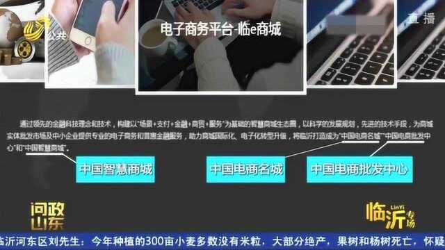 5000多万打造的智慧临沂商城 扫码只能扫出一只小鸟?