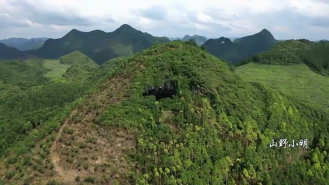 航拍:著名战役遗址“望天洞”,当年洞中一门大炮令敌人闻风丧胆