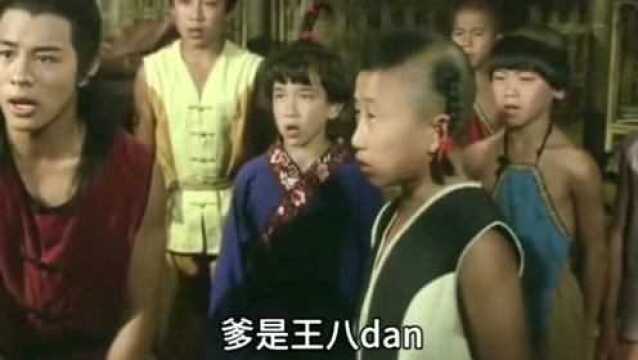 少林小子,李连杰主演