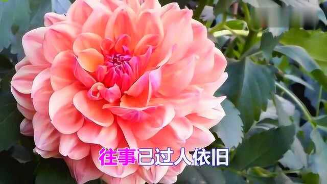 一首伤感情歌《 锁情愁》