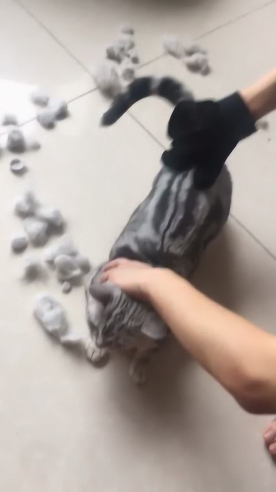 Thumbplayer Poster Plugin Image