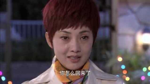 麻辣芳邻:大结局,满院彩灯和烟花之中老杨惊喜现身,有情人终成眷属!