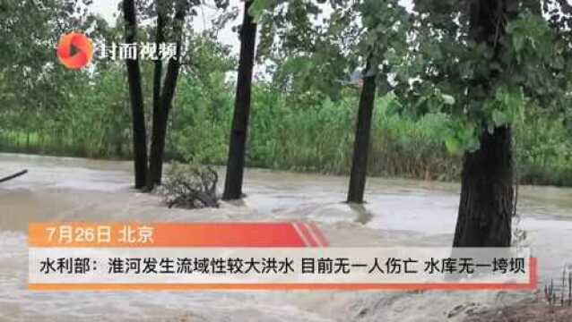 水利部:淮河发生流域性较大洪水 目前无一人伤亡 水库无一垮坝