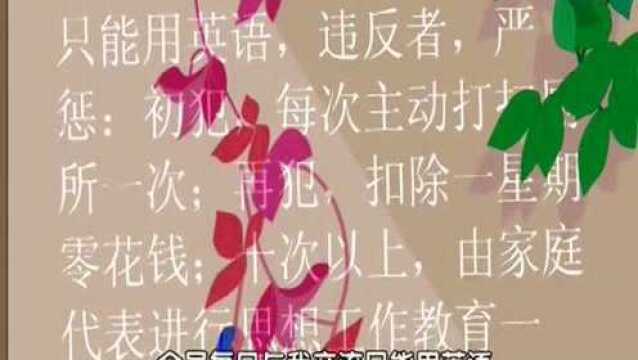 麦太学英语:麦妈制定的规矩没人敢反抗,麦圈开始着急了