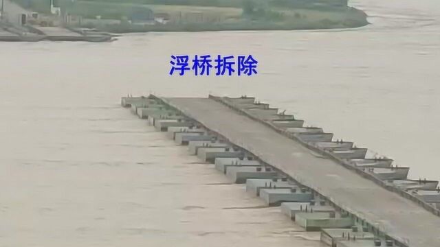 8月6日,黄河洪峰过临猗,汹涌澎湃,蔚为壮观(崔益民)#黄河洪峰#临猗黄河