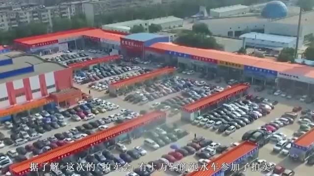 浙江“泡水车”已公开拍卖,最低价只要100元,买主:直接来7辆!