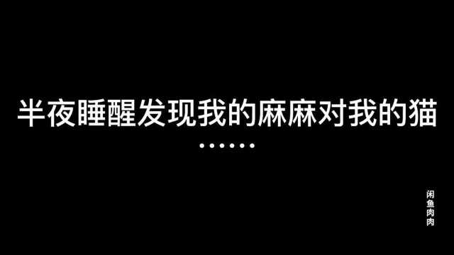 半夜醒来发现我的妈妈在撸猫,说好的真香呢