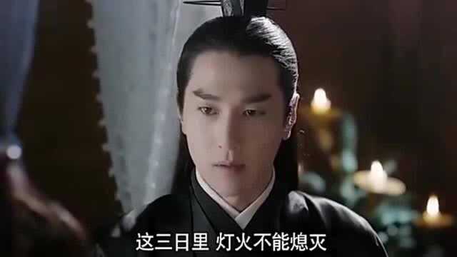 三生三世:太子吃师父的醋,狂喝酒,白浅却什么都看不懂