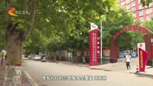 石家庄藁城区:文明实践引领志愿服务遍地“开花”